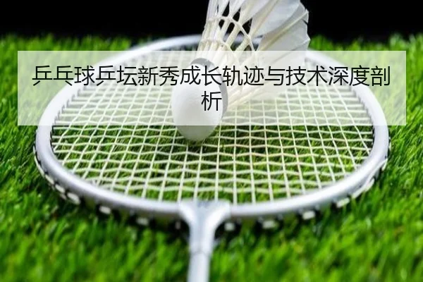 乒乓球乒坛新秀成长轨迹与技术深度剖析